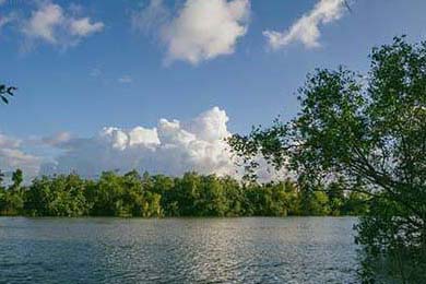 悉尼国王季中引援助力球队，悉尼国王季中引援助力球队是谁