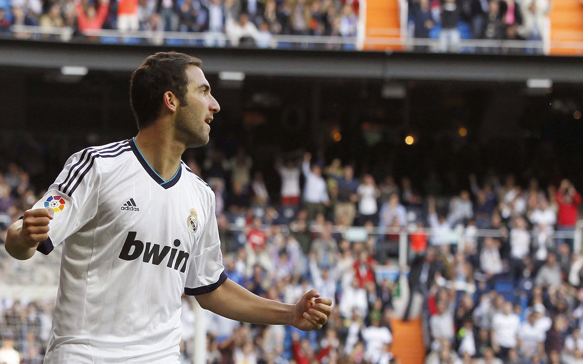 中国足球的球迷观赛体验提升方案，足球观赛入门